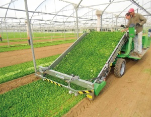 Skörde maskin själv gående SLIDE VALERIANA  